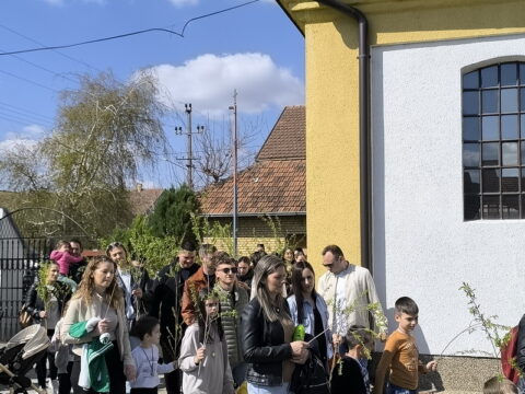 1744467121631_resize