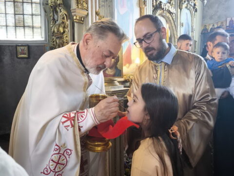 1745141466107_resize