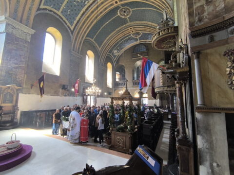 1745168005028_resize