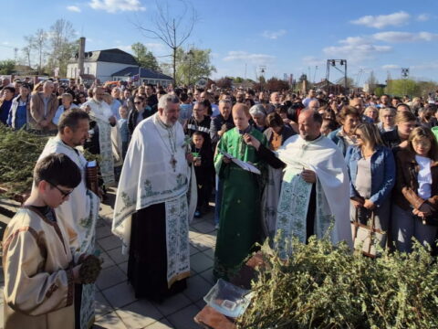 20250412_191554_resize