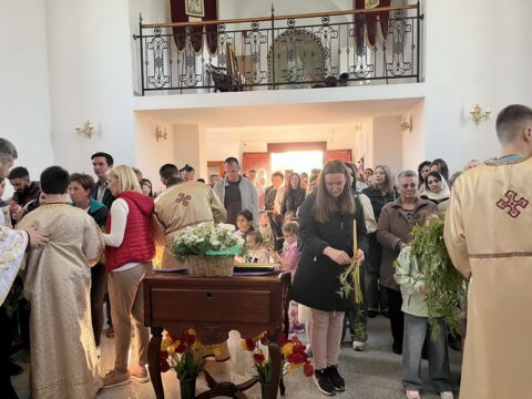 20250412_193031_resize