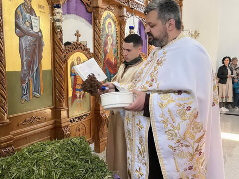 20250412_194355_resize