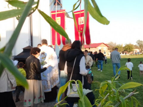 20250412_195236_resize