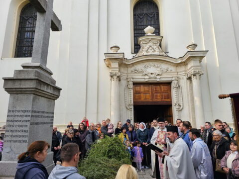 20250412_213536_resize