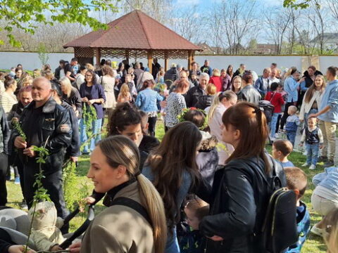 20250412_215044_resize