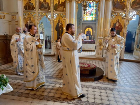 35fc43d0-73dc-459a-b3f4-5a216fd1659b_resize