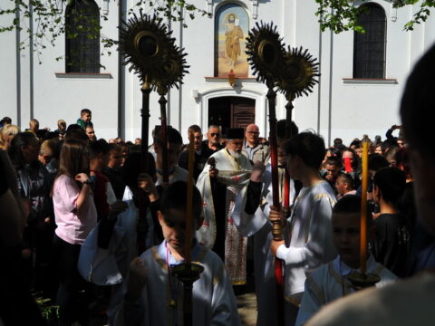 FOTOSIGOR-FACEBOOK+381641182714