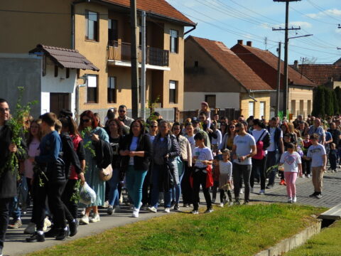 FOTOSIGOR-FACEBOOK+381641182714