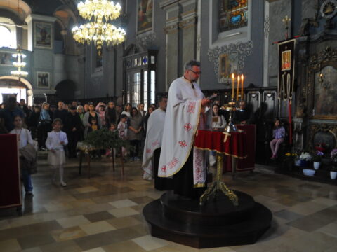 FOTOSIGOR-FACEBOOK+381641182714