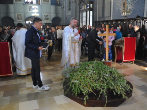 FOTOSIGOR-FACEBOOK+381641182714