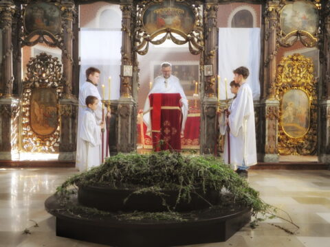 FOTOSIGOR-FACEBOOK+381641182714