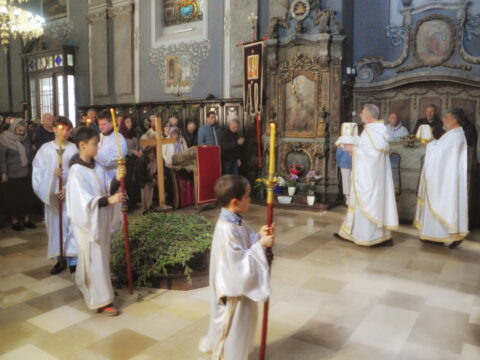 FOTOSIGOR-FACEBOOK+381641182714