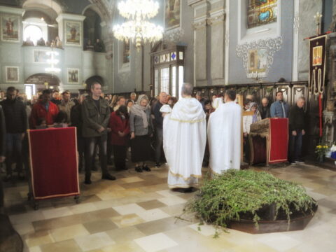 FOTOSIGOR-FACEBOOK+381641182714