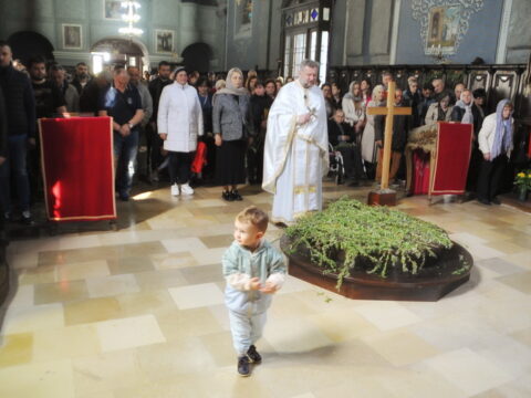 FOTOSIGOR-FACEBOOK+381641182714