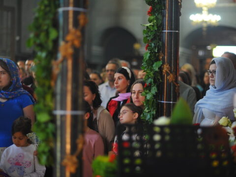 FOTOSIGOR-FACEBOOK+381641182714