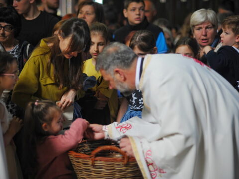 FOTOSIGOR-FACEBOOK+381641182714