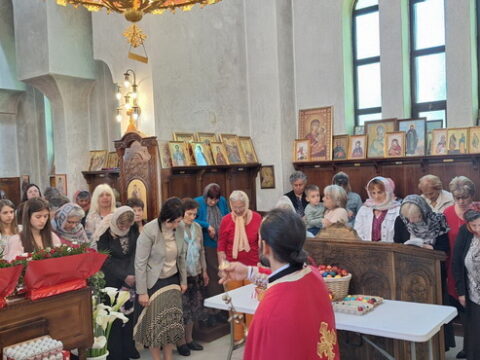 IMG-077043b91b5ceb40fcd56bf48fcf2394-V_resize