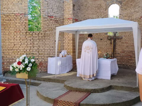 IMG-0786ffbd5ad02721ab41bc336666a4f3-V_resize