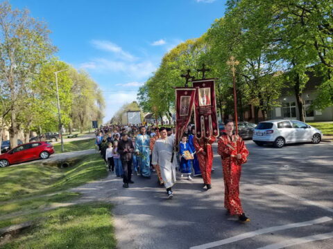 IMG-10745231464ec23f2e6fadff1488eba4-V_resize