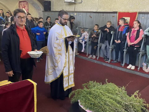 IMG-12d5e3e91407ed356b19405a27d503d0-V_resize