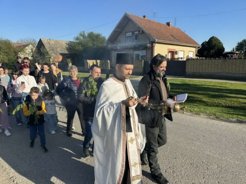 IMG-1c97b0c3939956d1cb8a46b000627d1f-V_resize