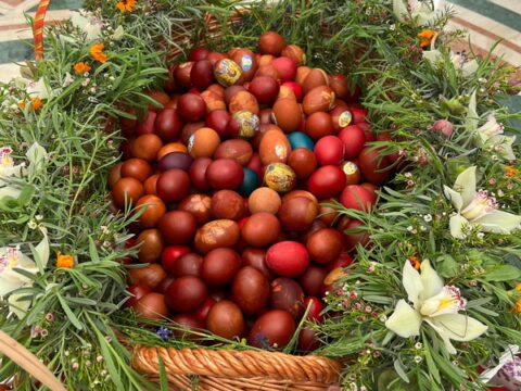 IMG-20250420-WA0001_resize