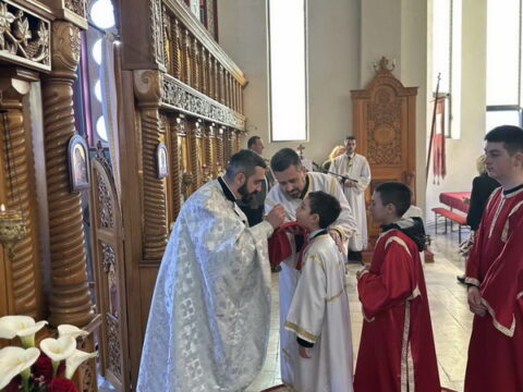 IMG-264039a3428a9b9445a65c097fa056f1-V_resize