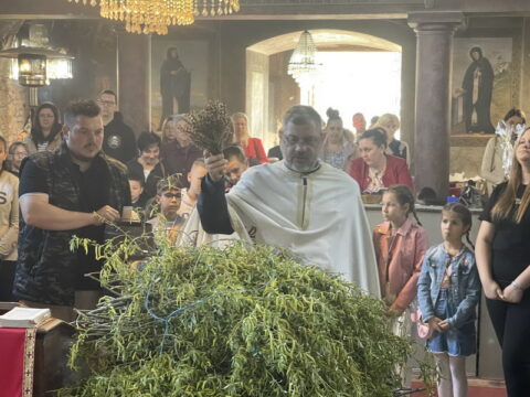 IMG-278f6fb650f1e98338d5a30c0e5aac1d-V_resize