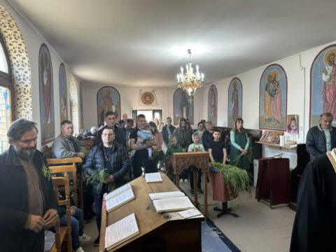 IMG-36320d454e5694372b26d349222a1ba9-V_resize