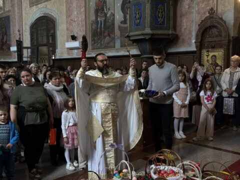 IMG-4014ed1ad7f6882495c578b797ef7d46-V_resize