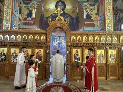 IMG-42838b73af592d8914771c3c50fbca04-V_resize