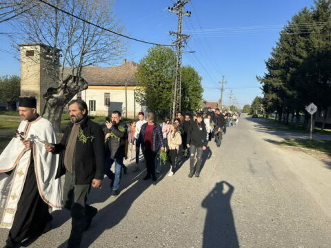 IMG-479a325b50856b5d5c36179f5c87cba7-V_resize