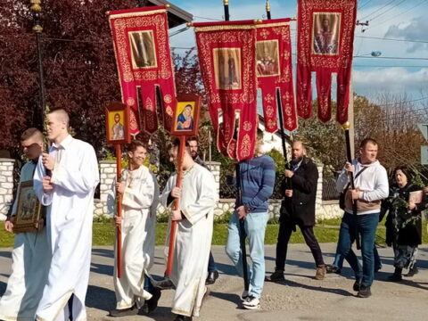 IMG-4915e78397eb3cf7eb6e5c7c7523e453-V_resize