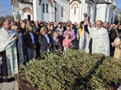 IMG-49eeffce24fc13e49a34396c2c8875b9-V_resize