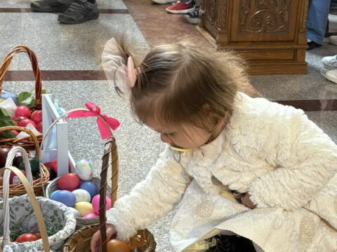 IMG-63bca7f9dff2e200db816fb43bb2702f-V_resize