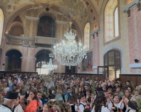 IMG-65f12505cf724fb413a9dda3b148f0ea-V_resize