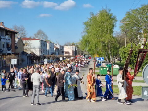 IMG-74ccc015c485a7dbb29920ccf5b41632-V_resize