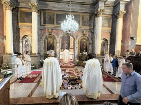 IMG-7bc77268f8f9e140e16a3396404b5558-V_resize