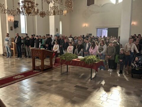 IMG-802cd2352ee9a8231164688f98d7a904-V_resize