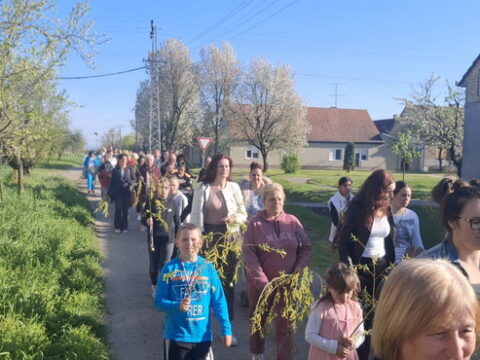 IMG-82ba499d02092970d1f3a2c530ec2638-V_resize