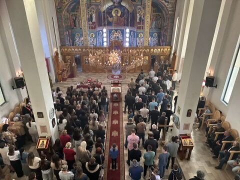 IMG-8af504f895809f0c7bc460482fd1cc9e-V_resize