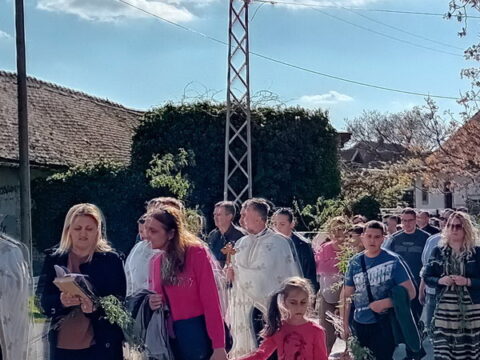 IMG-a7d4b19b9ad4debb593c4f784508c87f-V_resize