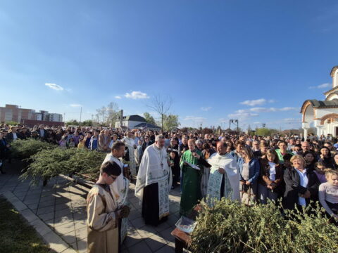 IMG-c6276fa1b1eb8f93bc9dbf62b058f64e-V_resize