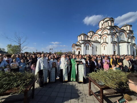 IMG-c9d5d76a8e3bbcee58c8cb01552bfd8e-V_resize