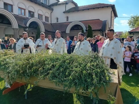 IMG-d6c88882c074352f065a3c1a23c9869e-V_resize