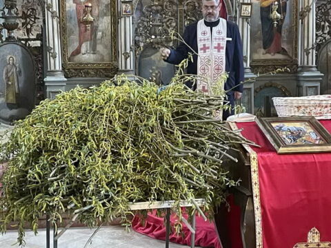 IMG-d6ebedfd8d6d062921c8aa0c084090da-V_resize