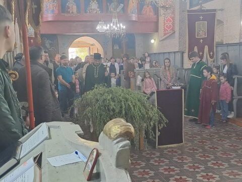 IMG-d7801b52d63fc0a767d92290f4a97350-V_resize