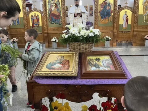 IMG-dd29fcc87bce329acee5fcb11c3c3ae8-V_resize