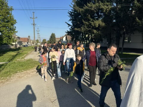 IMG-e0bd8ed46613a8e25c2b6f5f6566d799-V_resize