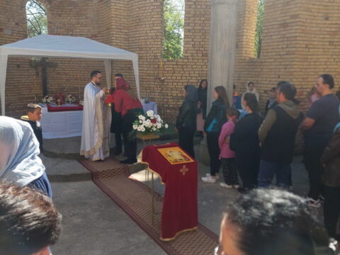 IMG-e36472a4c40e86d7952fd03b7512eb46-V_resize